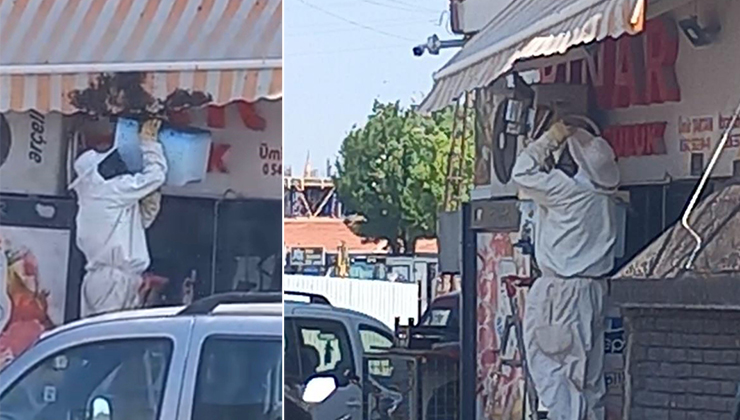 Karapınar’da arı paniği
