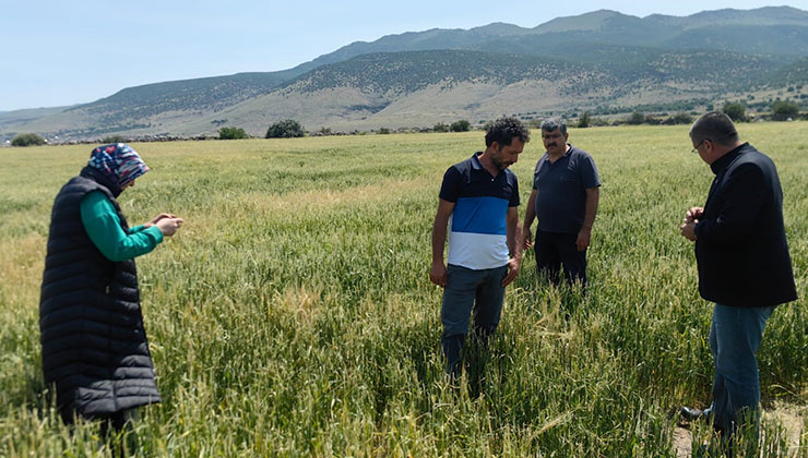 Karapınar’da dolu ve sel felaketinde etkilenen bölgelerde incelemelerde bulunuldu