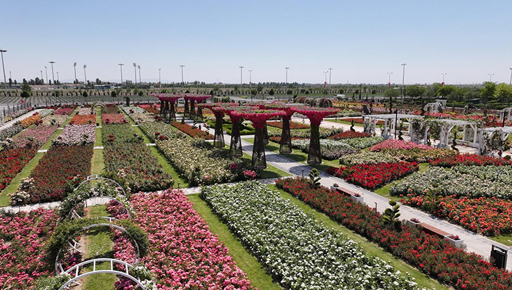 Konya’da 190 türün bulunduğu Karatay Mevlana Gül Parkı yeni sezonunu açtı