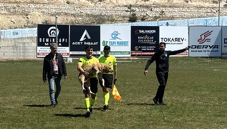 Konya’da köpeğe kırmızı kart gösteren hakem o anları anlattı
