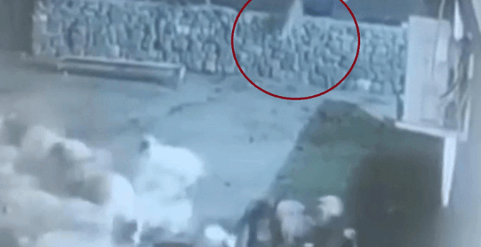 Kurt, ağıldaki sürüye böyle daldı: Kurdun kaptığı koyun ölü taklidi yaparak kurtuldu