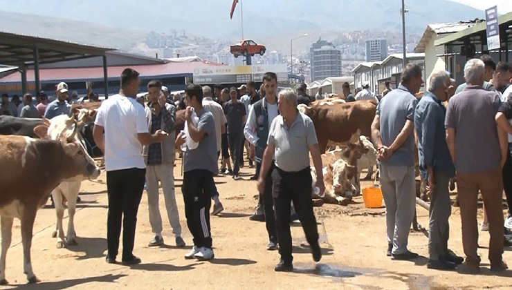 Malatya Canlı Hayvan Pazarı’nda bayram yoğunluğu