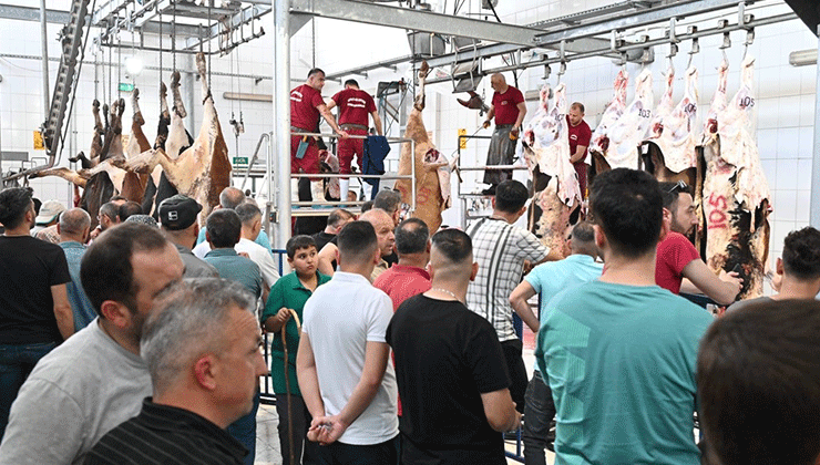 Mezbahada 250 büyükbaş kurban kesimi gerçekleştirildi