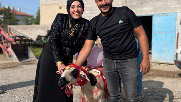 Nişanlısına süslediği koyunu hediye etti