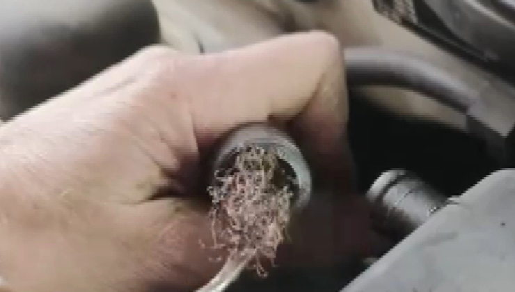 Pes dedirten görüntü: Otomobilin motorundan bulaşık teli çıktı