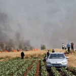 Şanlıurfa’da tarla yangını: 1’i ağır 5 yaralı