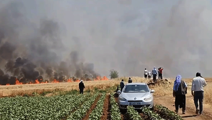 Şanlıurfa’da tarla yangını: 1’i ağır 5 yaralı