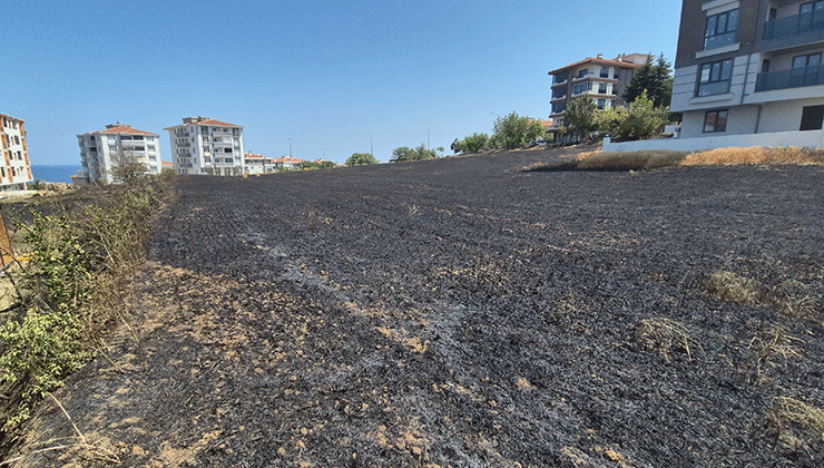 Şehir içindeki 30 dönümlük buğday tarlası alevlere teslim oldu