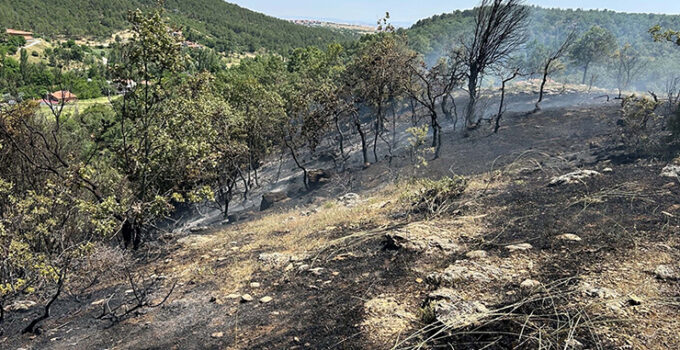 Uşak’ta meşelikte çıkan yangın, 3 saatte söndürüldü