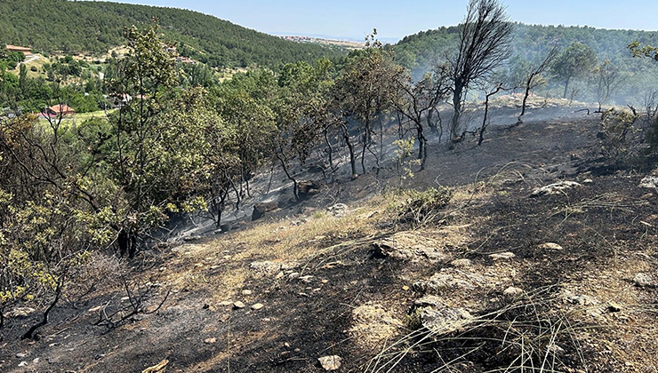 Uşak’ta meşelikte çıkan yangın, 3 saatte söndürüldü