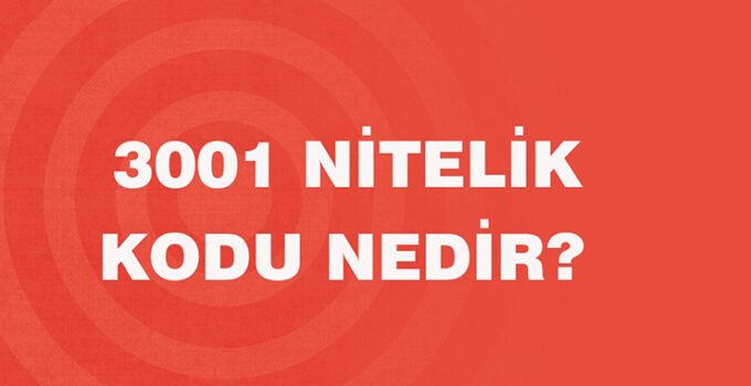 3001 Nitelik Kodu Nedir?