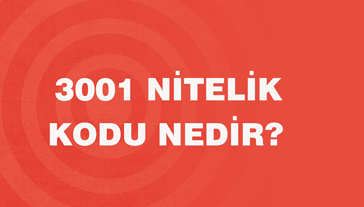 3001 Nitelik Kodu Nedir?