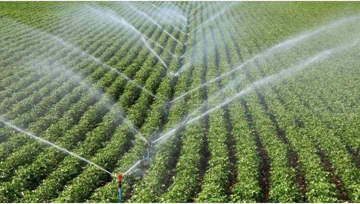 IPARD III Programı kapsamında bugüne kadar 343 milyon avroluk destek ilanına çıkıldı