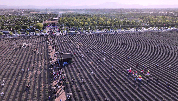 Karatay’ın mor güzelliği rekorla taçlandı