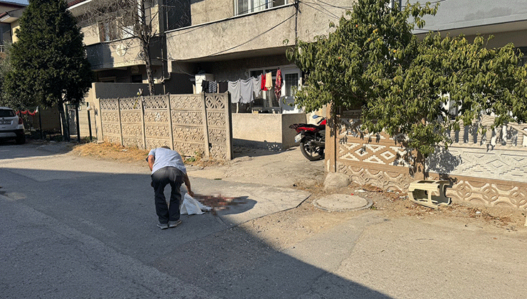 Tartıştığı babasını pompalı tüfekle vurarak öldürmüştü, tutuklandı