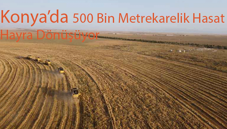 Konya’da 500 Bin Metrekarelik Hasat Hayra Dönüşüyor