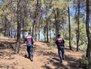 Jandarmanın ‘orman’ nöbeti aralıksız devam ediyor