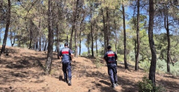 Jandarmanın ‘orman’ nöbeti aralıksız devam ediyor