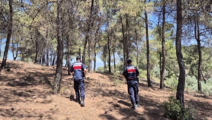 Jandarmanın ‘orman’ nöbeti aralıksız devam ediyor