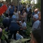 Çınar ağacının kırılan dalı üzerine düşen kişi hayatını kaybetti