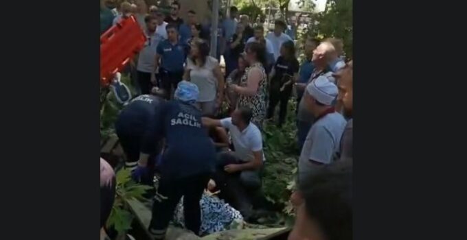 Çınar ağacının kırılan dalı üzerine düşen kişi hayatını kaybetti