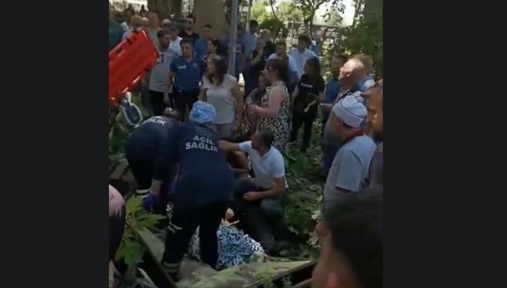 Çınar ağacının kırılan dalı üzerine düşen kişi hayatını kaybetti