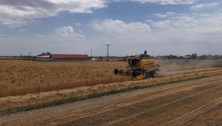 Konya Ovası alarm veriyor: Rekoltede 1 milyon tonluk düşüş bekleniyor!