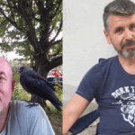 Besle kargayı, dostun olsun