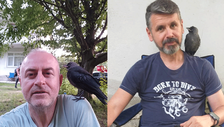 Besle kargayı, dostun olsun