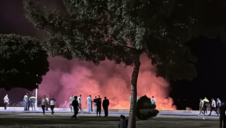 Beyşehir Gölü kenarında korkutan yangın