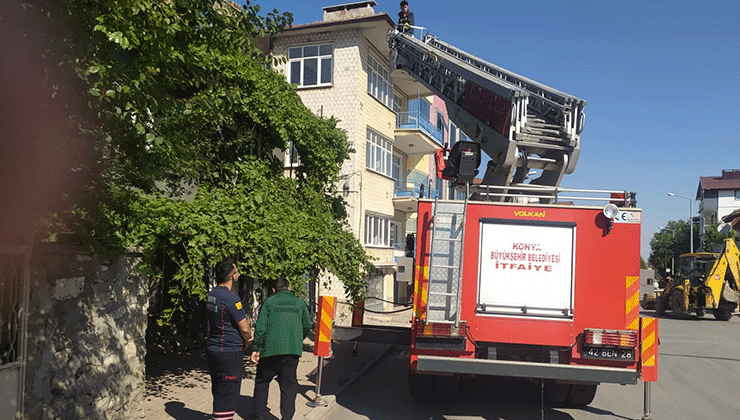 Beyşehir’de itfaiyenin kedi kurtarma seferberliği
