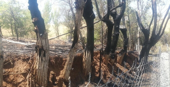 Bir kıvılcımla yangını başlattı, alevlerin büyüdüğünü görünce kaçtı