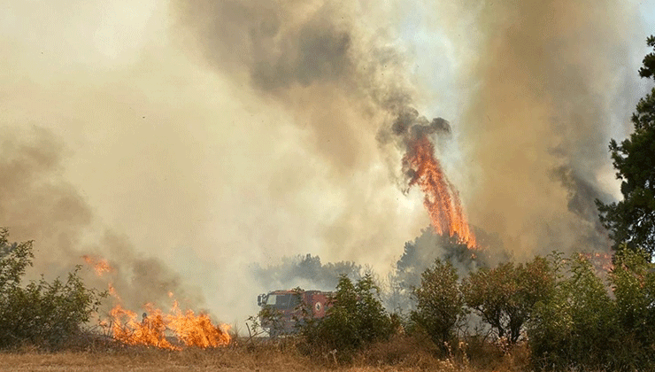Çanakkale’de orman yangını çıktı