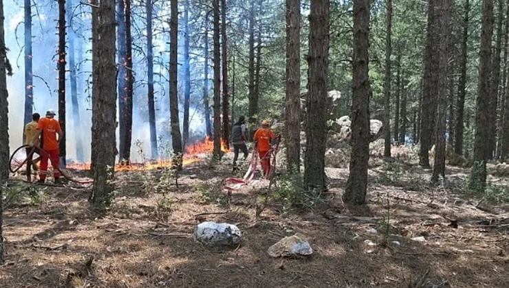 Çine’de orman yangını