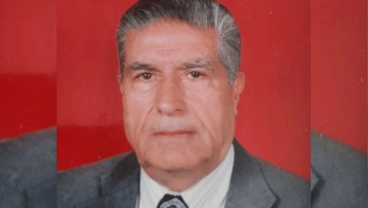 Cumhuriyetle yaşlı çınar hayatını kaybetti