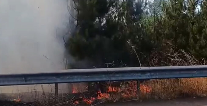 Düğün konvoyundaki meşale çamlık alanı yaktı
