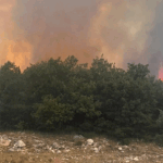 Eskişehir’de çıkan orman yangınına müdahale ediliyor