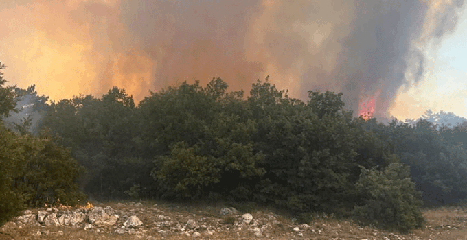 Eskişehir’de çıkan orman yangınına müdahale ediliyor