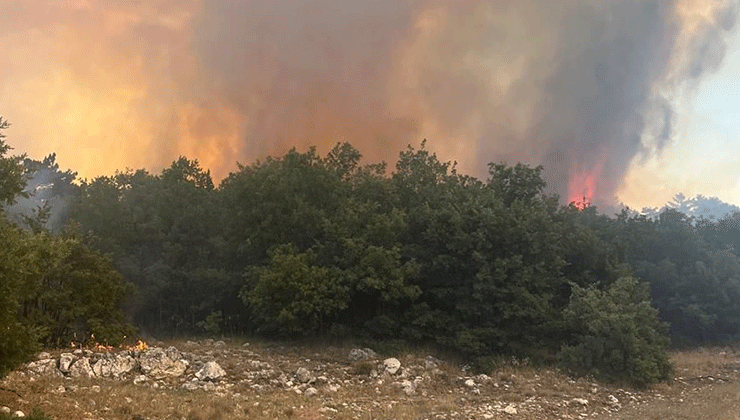 Eskişehir’de çıkan orman yangınına müdahale ediliyor