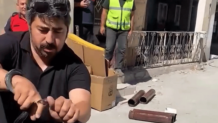 Eve giren yılanı yakalamak isterken parmağını kaptırdı