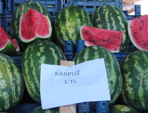 Halde kilosu 1 TL’ye düşen karpuz markette 14 TL