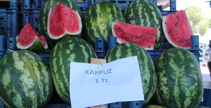 Halde kilosu 1 TL’ye düşen karpuz markette 14 TL