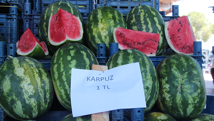 Halde kilosu 1 TL’ye düşen karpuz markette 14 TL