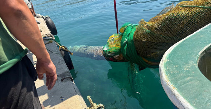 İzmir Karaburun’da balıkçı ağına denizaltı torpidosu takıldı