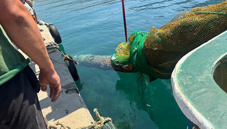 İzmir Karaburun’da balıkçı ağına denizaltı torpidosu takıldı