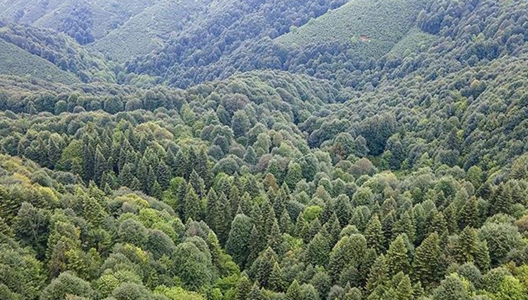 Karaman’da ormanlık alanlarda piknik yapmak 3.5 ay süreyle yasaklandı