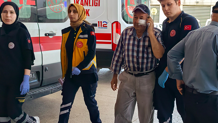 Kendini serinletmeyen bahçıvanı darp etti