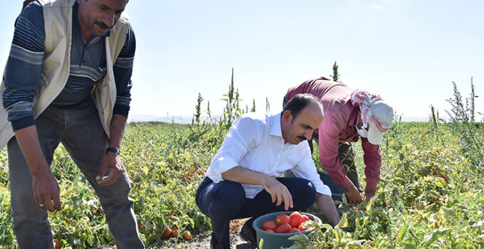 Konya Büyükşehir, 2026 yılı tarımsal destek başvurularının başladığını duyurdu