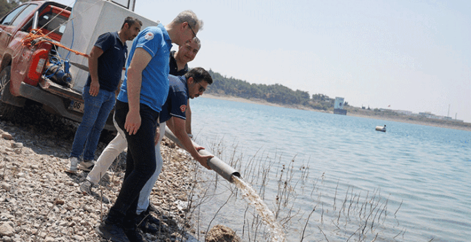 Konya’da dahil 10 milyon 500 bin yavru sazan göl ve göletlere bırakıldı