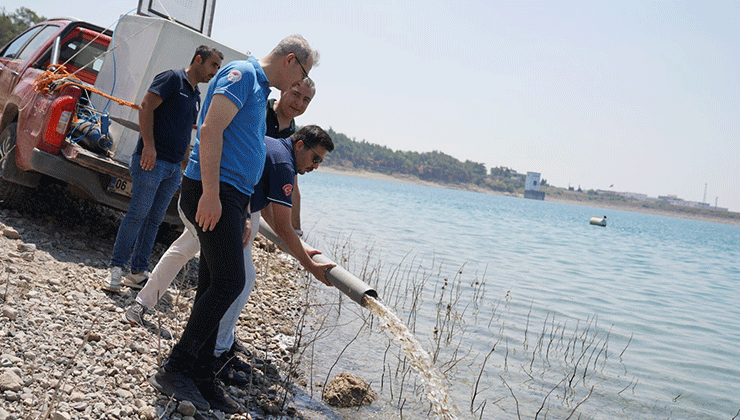 Konya’da dahil 10 milyon 500 bin yavru sazan göl ve göletlere bırakıldı